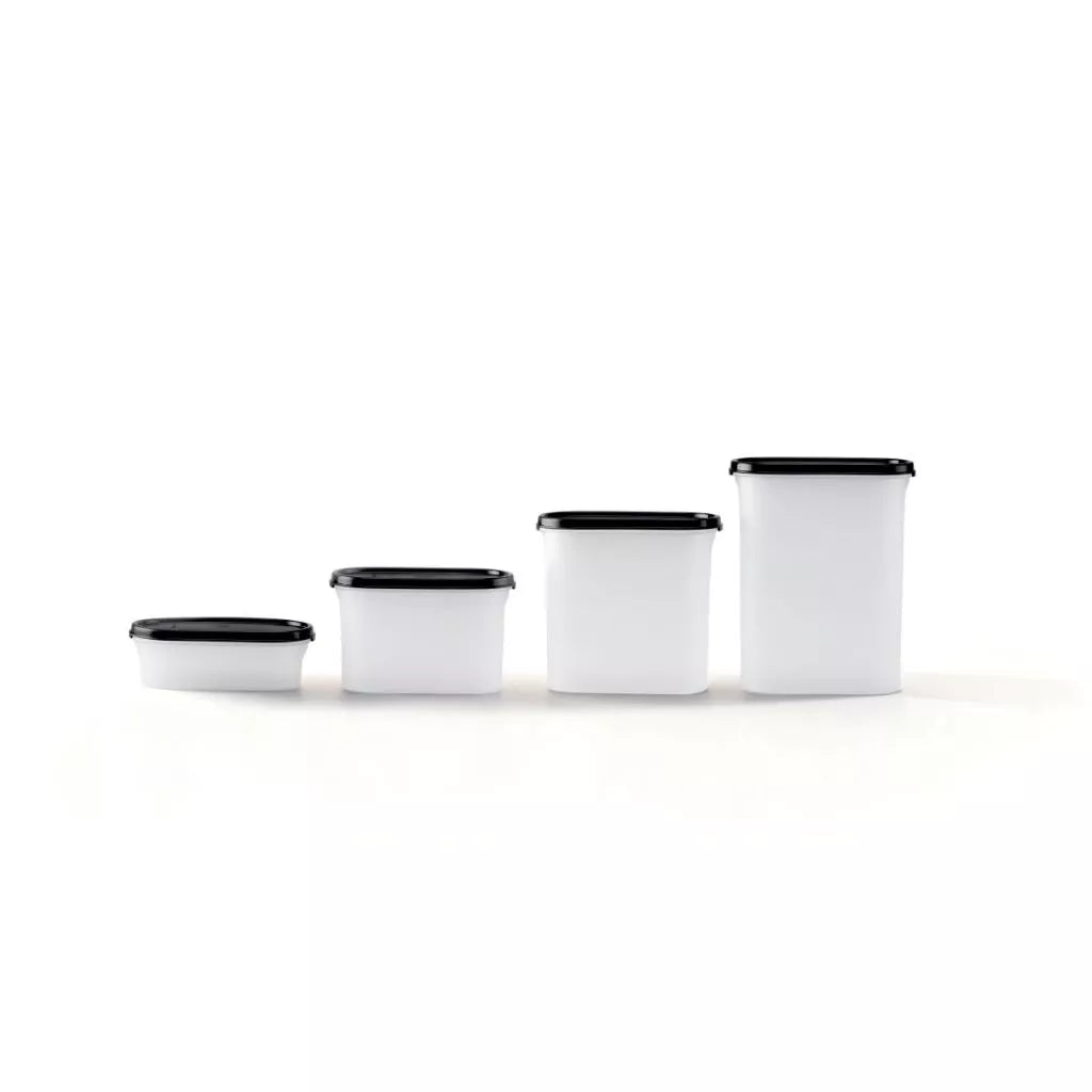 Tupperware Oval Modular Dry Food Container (500ml) TP0009