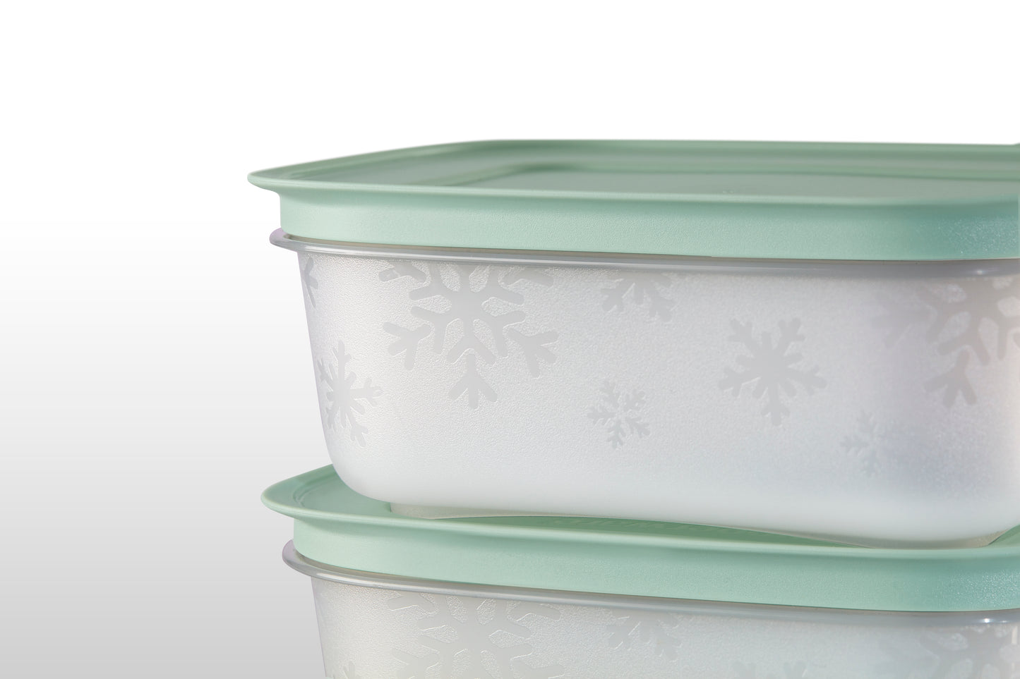 Tupperware Freezable 4pcs Container Set (4X450ml) TP0002