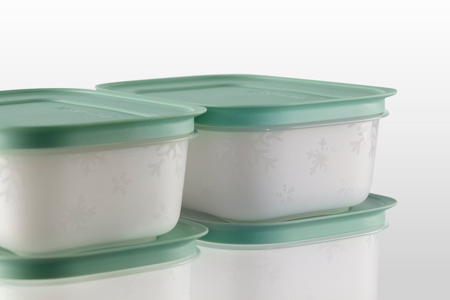 Tupperware Freezable 5pcs Container Set (2x450ml/1x1L/2x1.1L) TP0001