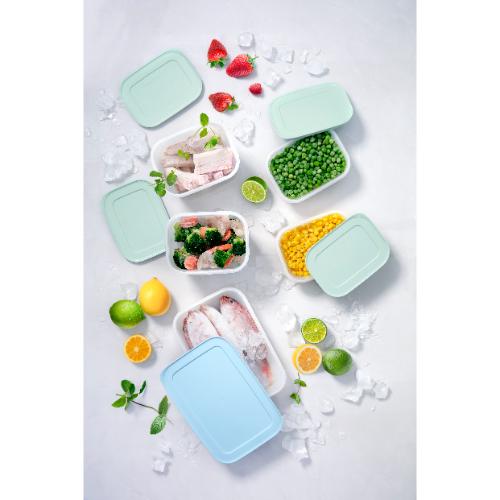 Tupperware Freezable 5pcs Container Set (2x450ml/1x1L/2x1.1L) TP0001
