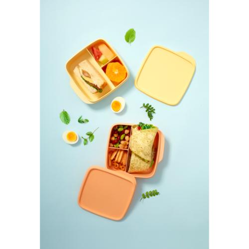 Tupperware Square Divided Lunch Box (550ml, Peach) TP0027