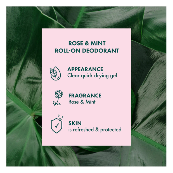 (EXP: Feb 2027) A'kin Rose & Mint Roll-On Deodorant 65ml AK0131
