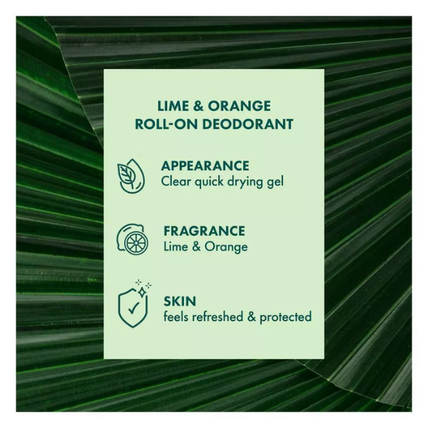 (EXP: Feb 2027) A'kin Lime & Orange Roll-On Deodorant 65ml AK0132