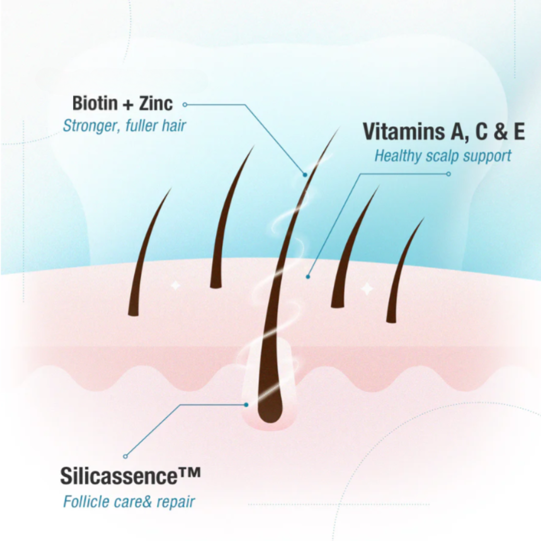 Teddi Lab Hair Boost Gummy 60's TL0001